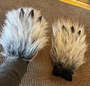 hand paws wolf with claws